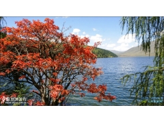 最美秋色:川西高原甘孜处处是美景