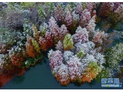 【江苏】雪中紫金山风景如画