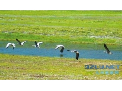 四川甘孜石渠：守望地球—野外科研志愿者科考基地成立