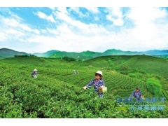 河南信阳：以全域旅游引领生态发展之路