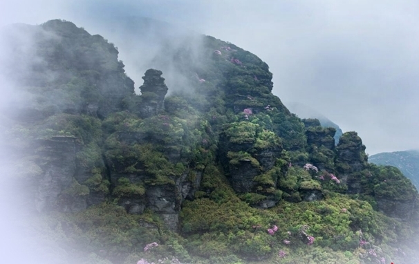 贵州梵净山：黔东灵山 生态王国 风景胜地
