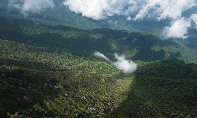 贵州梵净山：黔东灵山 生态王国 风景胜地