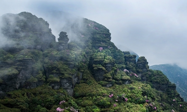 贵州梵净山：黔东灵山 生态王国 风景胜地