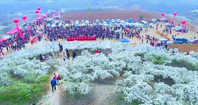 河南西峡：第九届李花节盛大开幕
