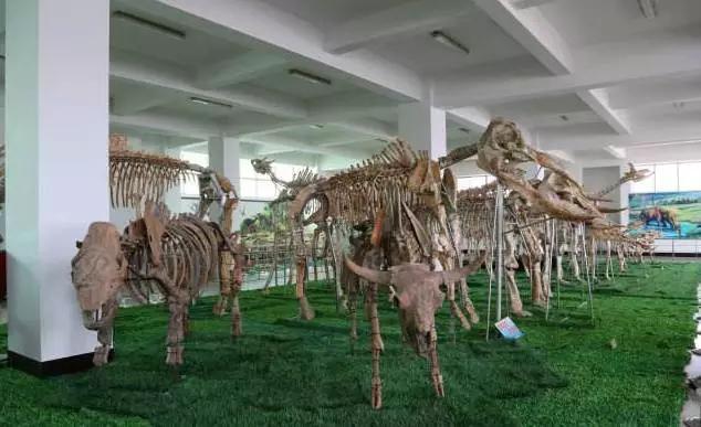 临沂 原来有这么多好玩的地方