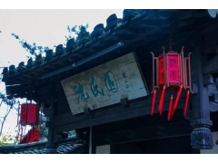 【浙江】绍兴：大年初三，恰逢昨夜雨疏风骤，沈园梅花却绽放依旧