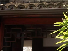 诗文中的乌