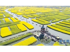 江苏泰州：